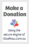 Give Now button