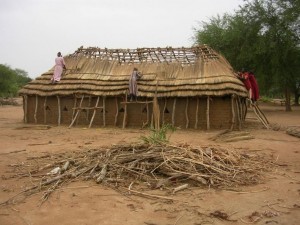 Rethatching the schoolroom roof